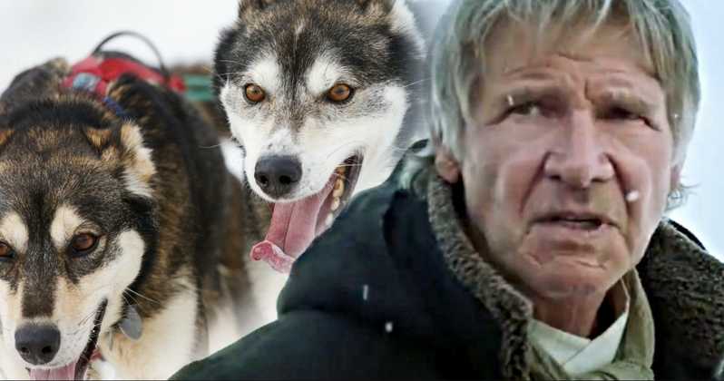 Download Harrison Ford Movies Dog Images