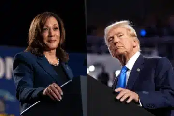 trump/harris