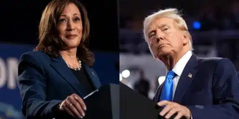 trump/harris