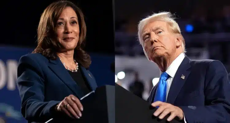 trump/harris